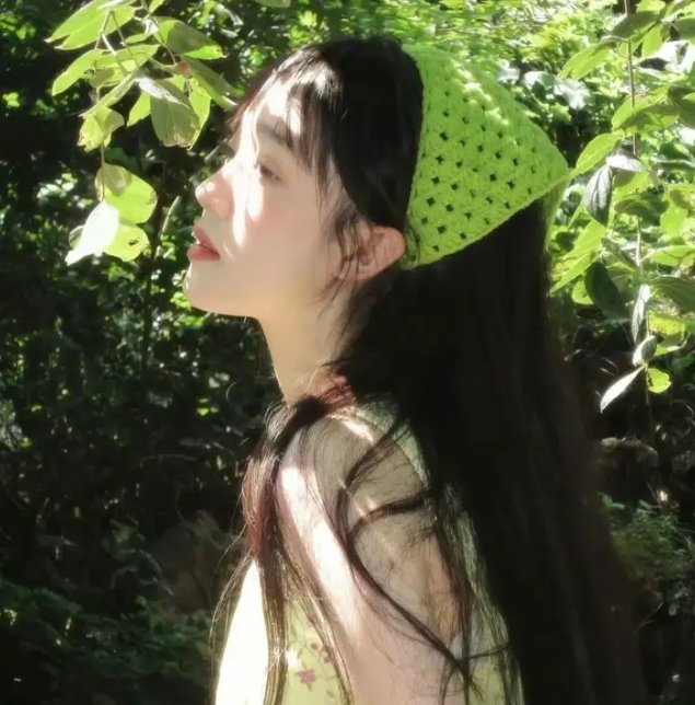 最后的嬉皮